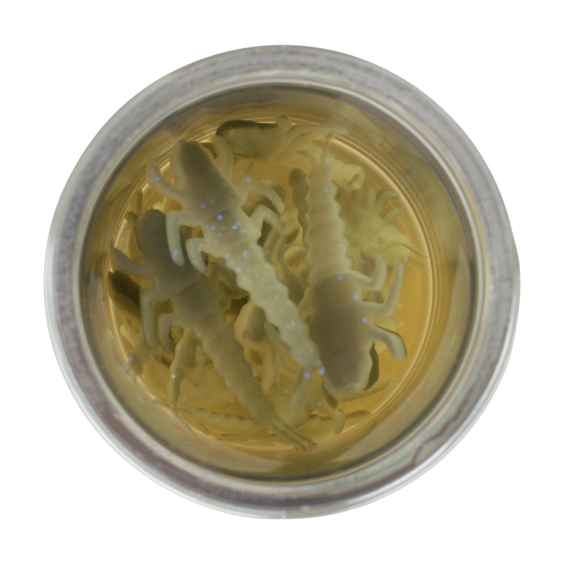 Glouton ! Vivant ! Plécoptère