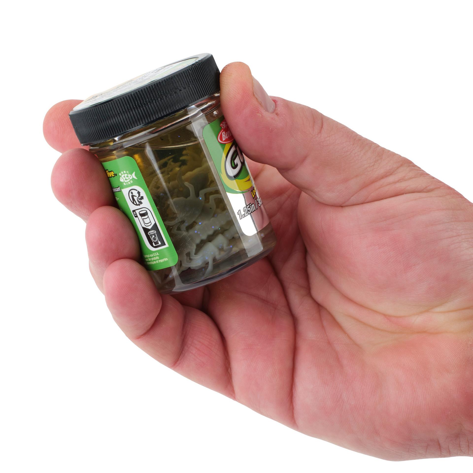 Glouton ! Vivant ! Plécoptère