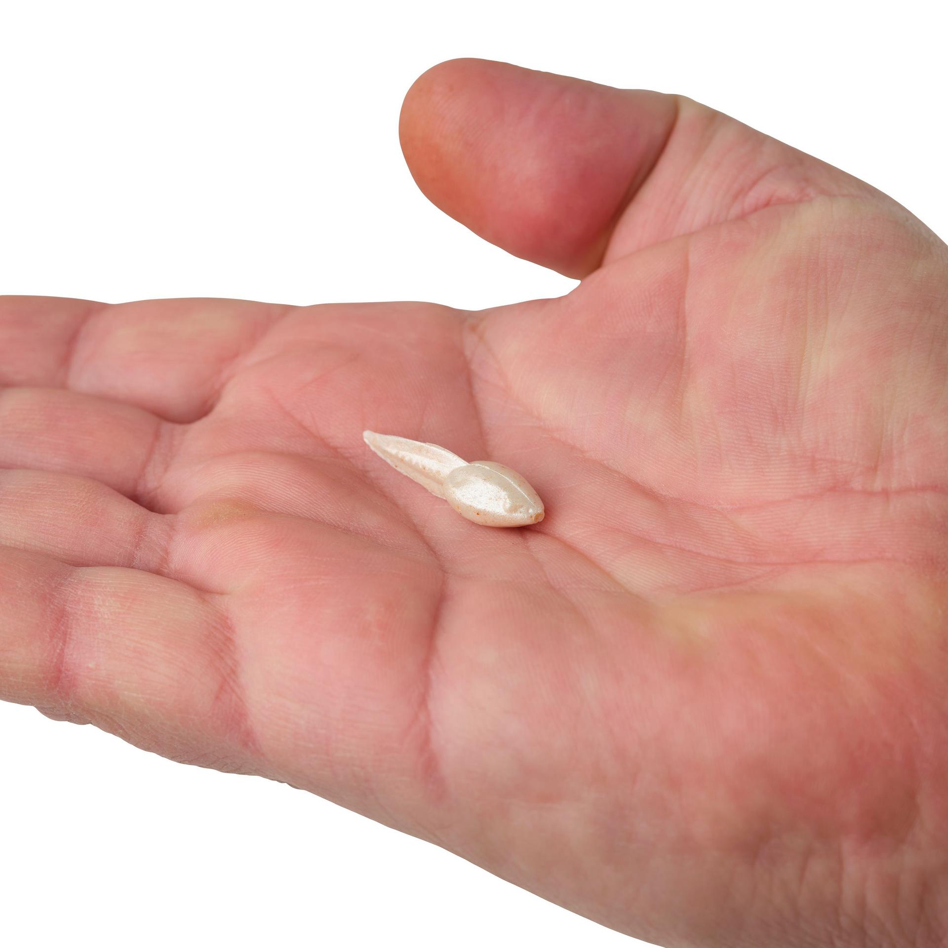 Berkley Gulp! Alive! Tadpole