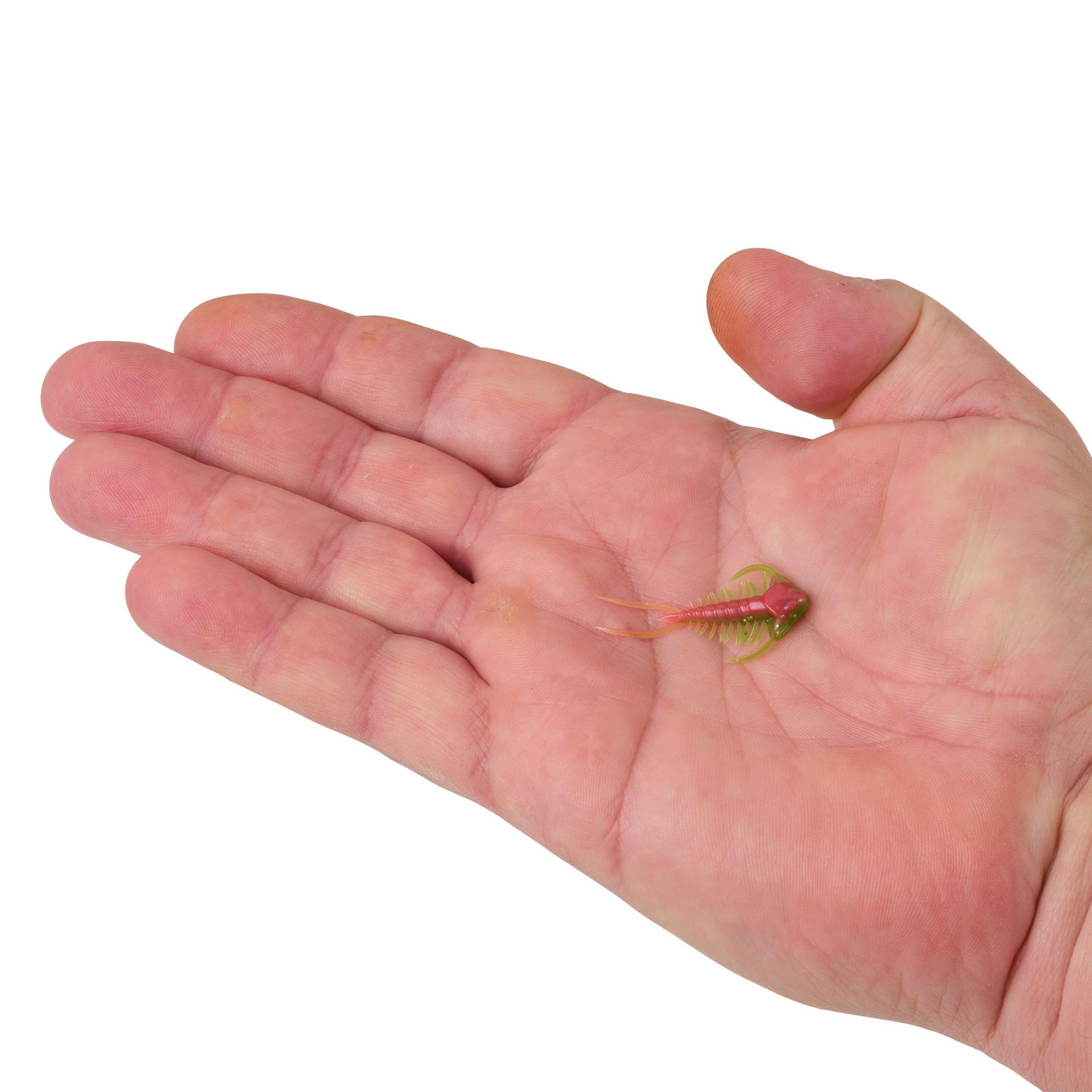 Berkley PowerBait Trilobite