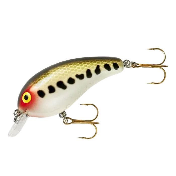 Cotton Cordell Big O Square-Lip Crankbait