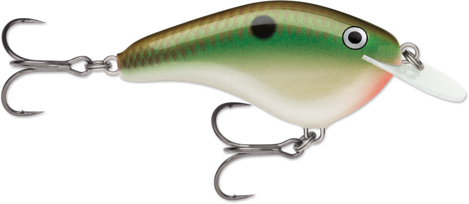 Rapala OG Slim 06 Medium Diving Flat-Sided Crankbait