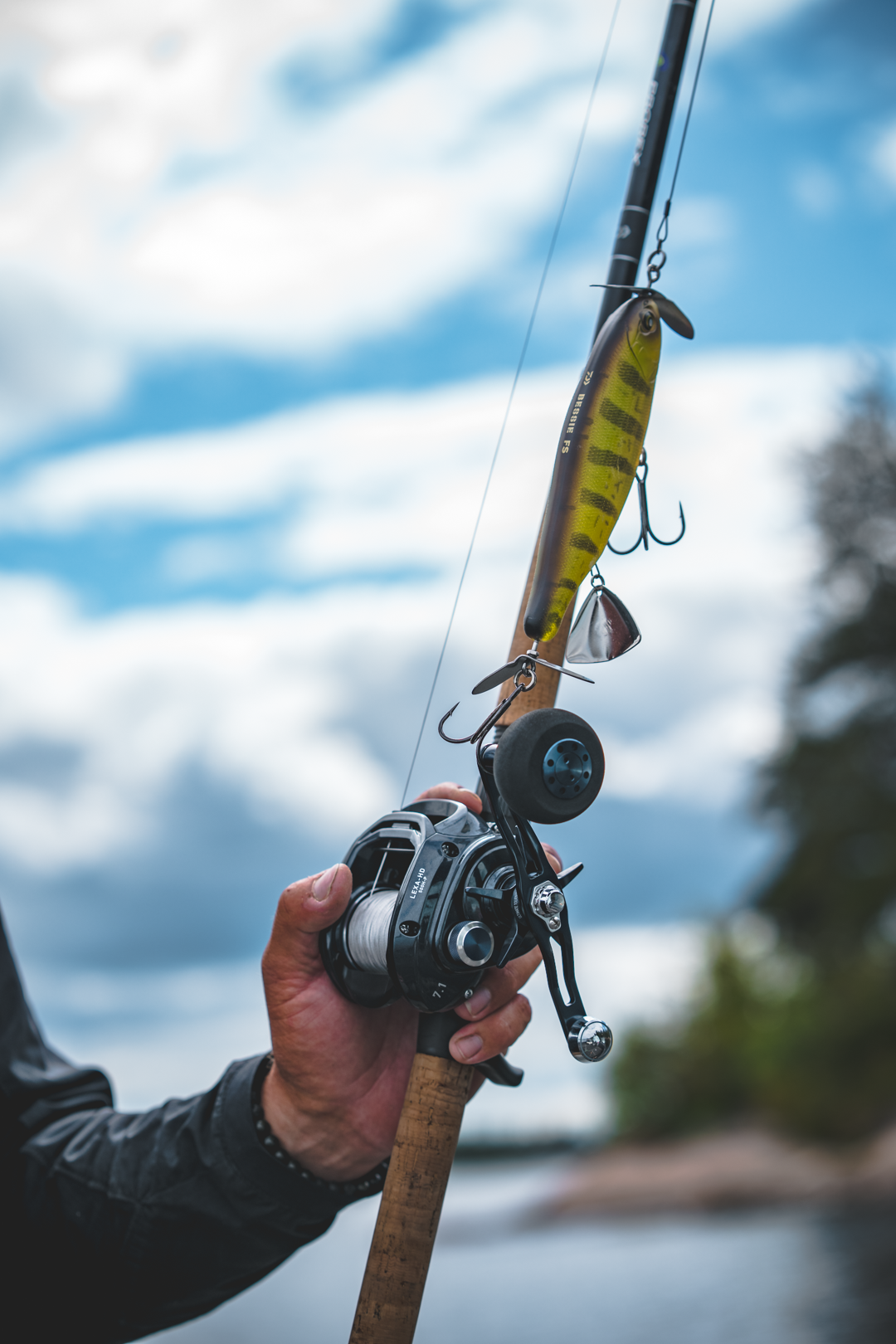 Moulinet à lancer Daiwa Lexa HD 500