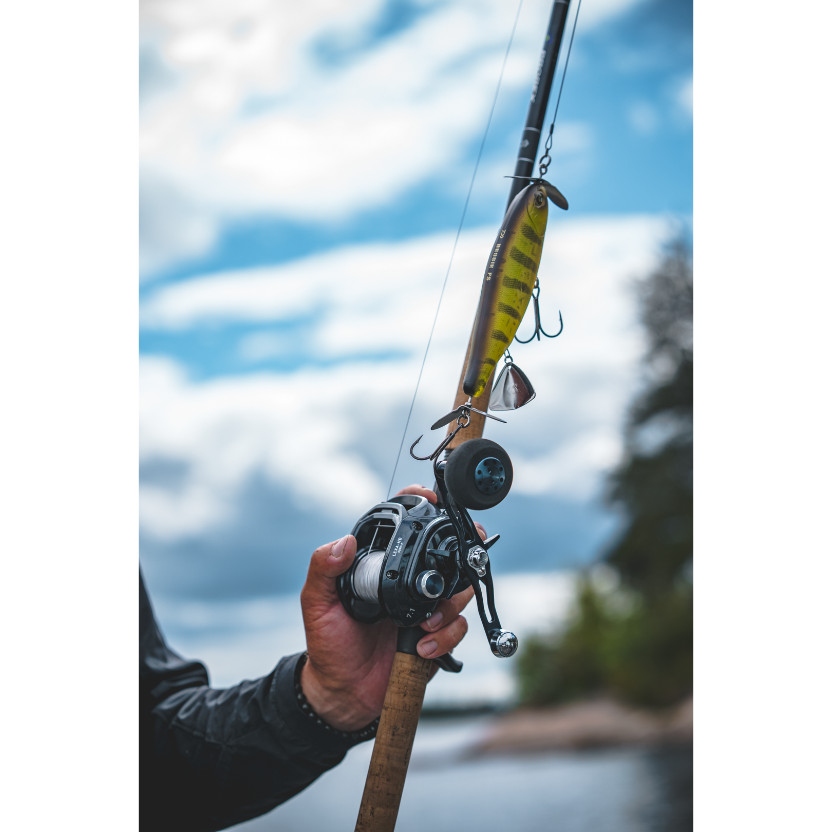 Daiwa Lexa HD 500 Casting Reel