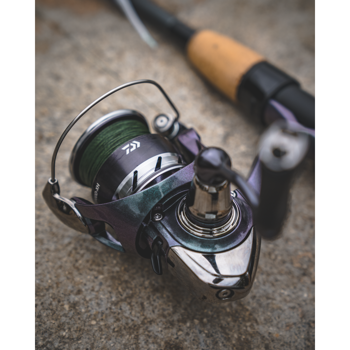 Daiwa Regal LT Spinning Reel