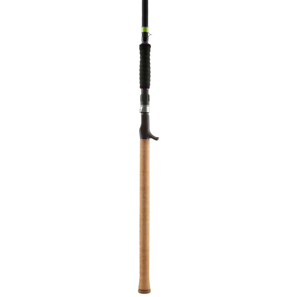 Canne à lancer Daiwa 2025 Prorex Stein Muskie