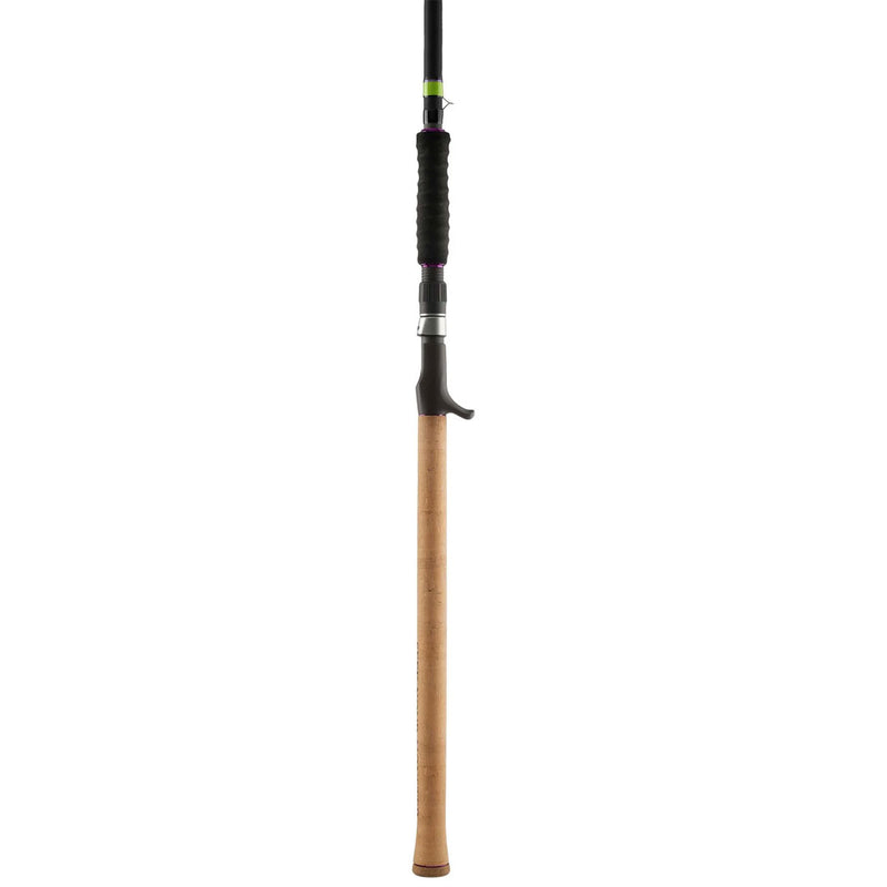 Canne à lancer Daiwa 2025 Prorex Stein Muskie