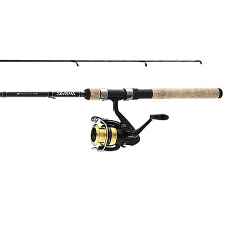 Ensemble de moulinet à lancer Daiwa D-Shock 1BB