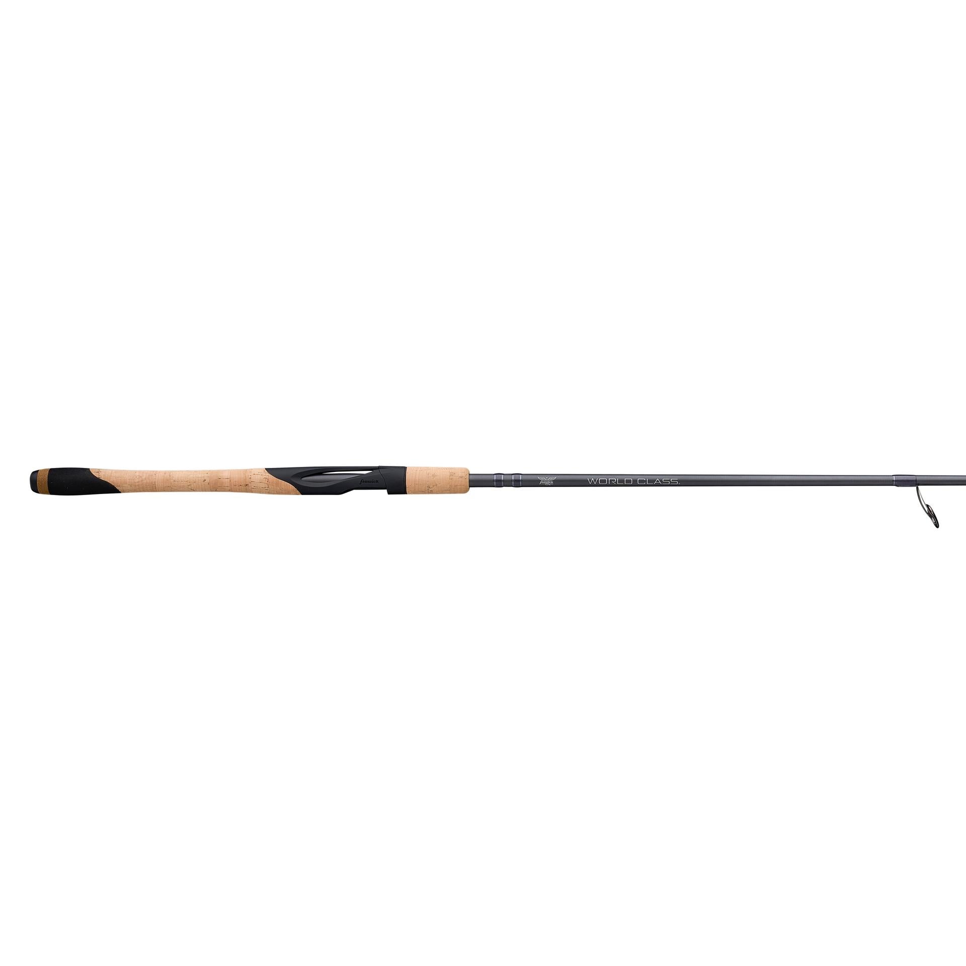 Fenwick World Class Inshore Spinning Rod