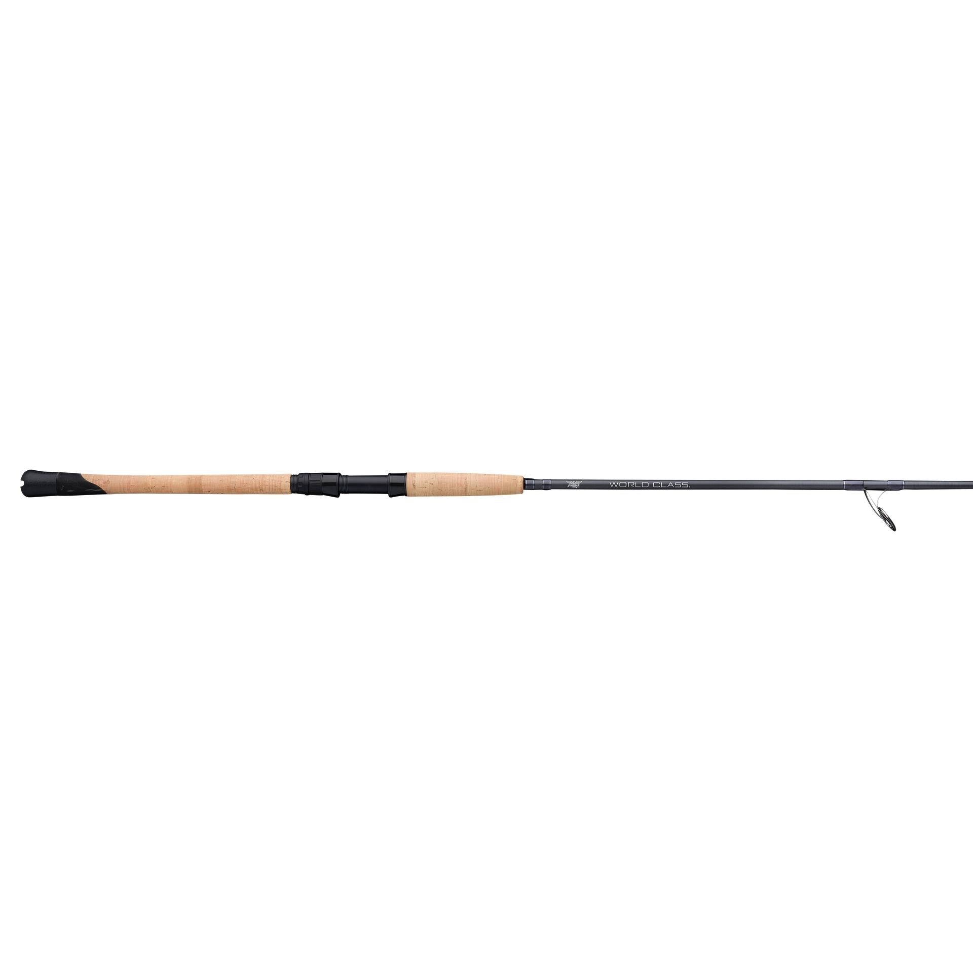 Fenwick World Class Inshore Spinning Rod