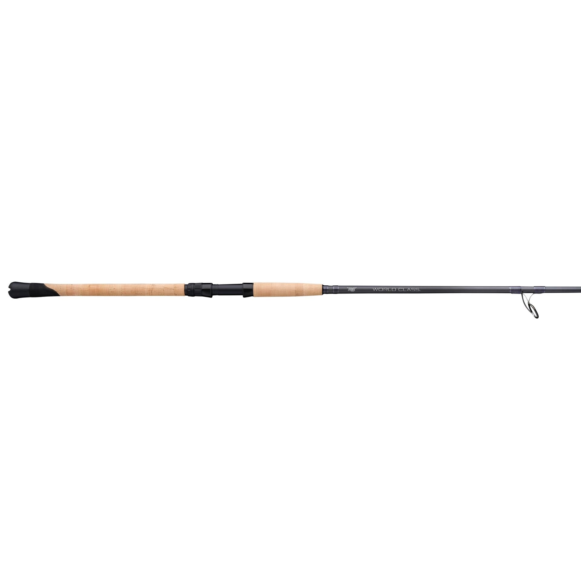 Fenwick World Class Inshore Spinning Rod