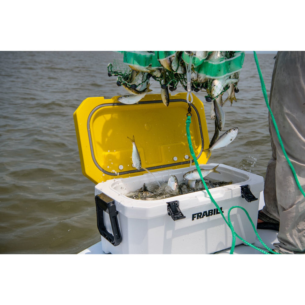 Frabill Magnum Bait Station