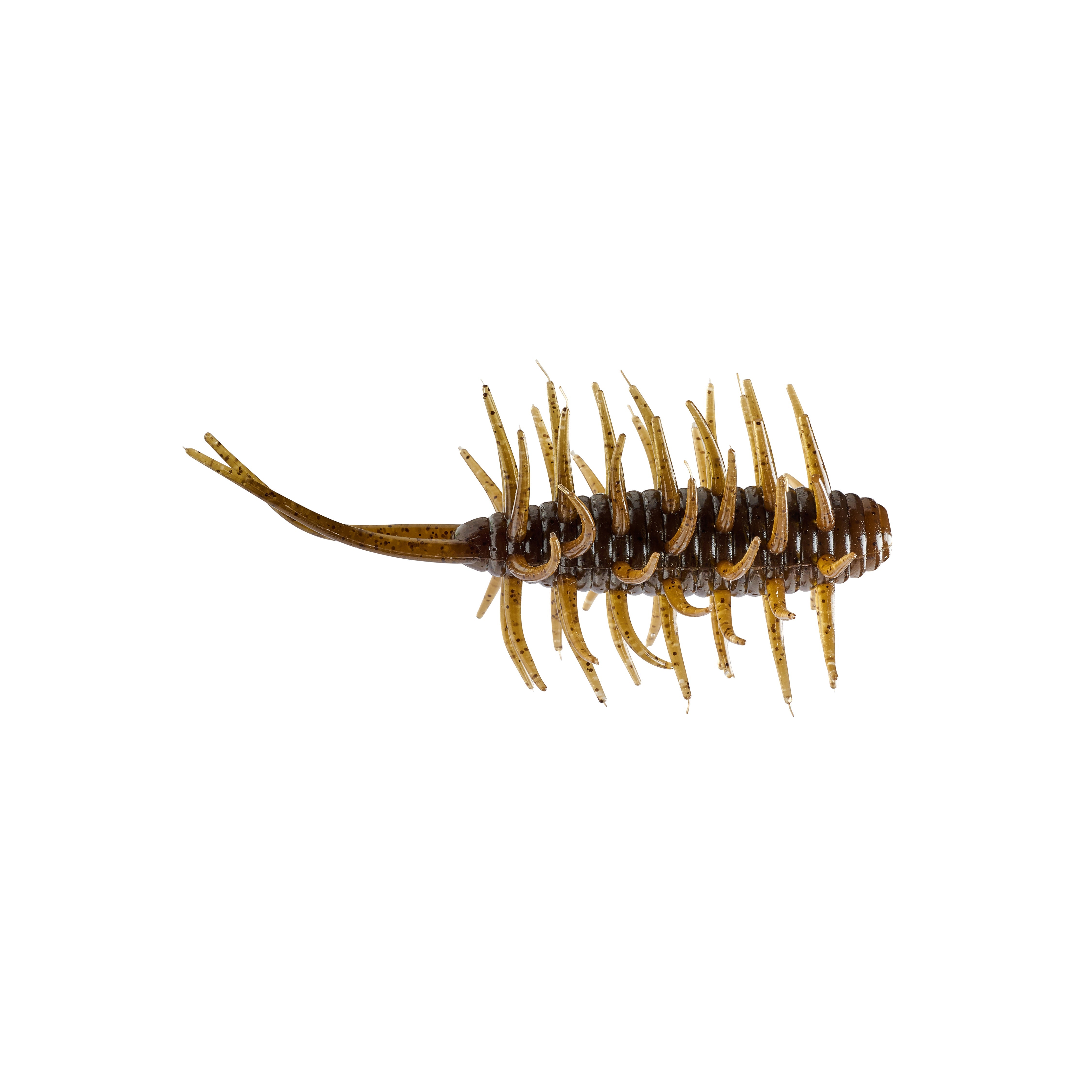 Hideup Coike Shrimp Medium Creature Bait