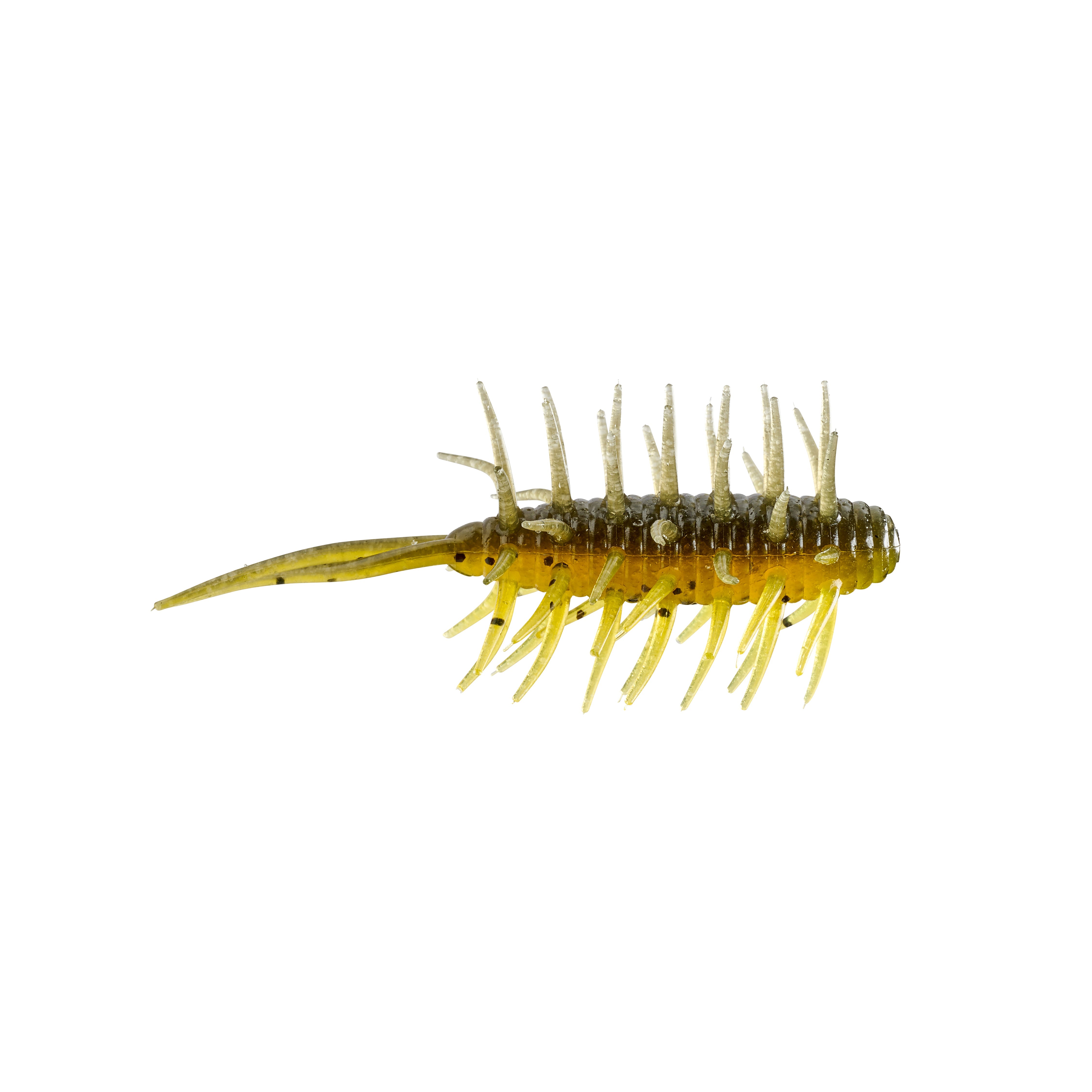 Hideup Coike Shrimp Medium Creature Bait