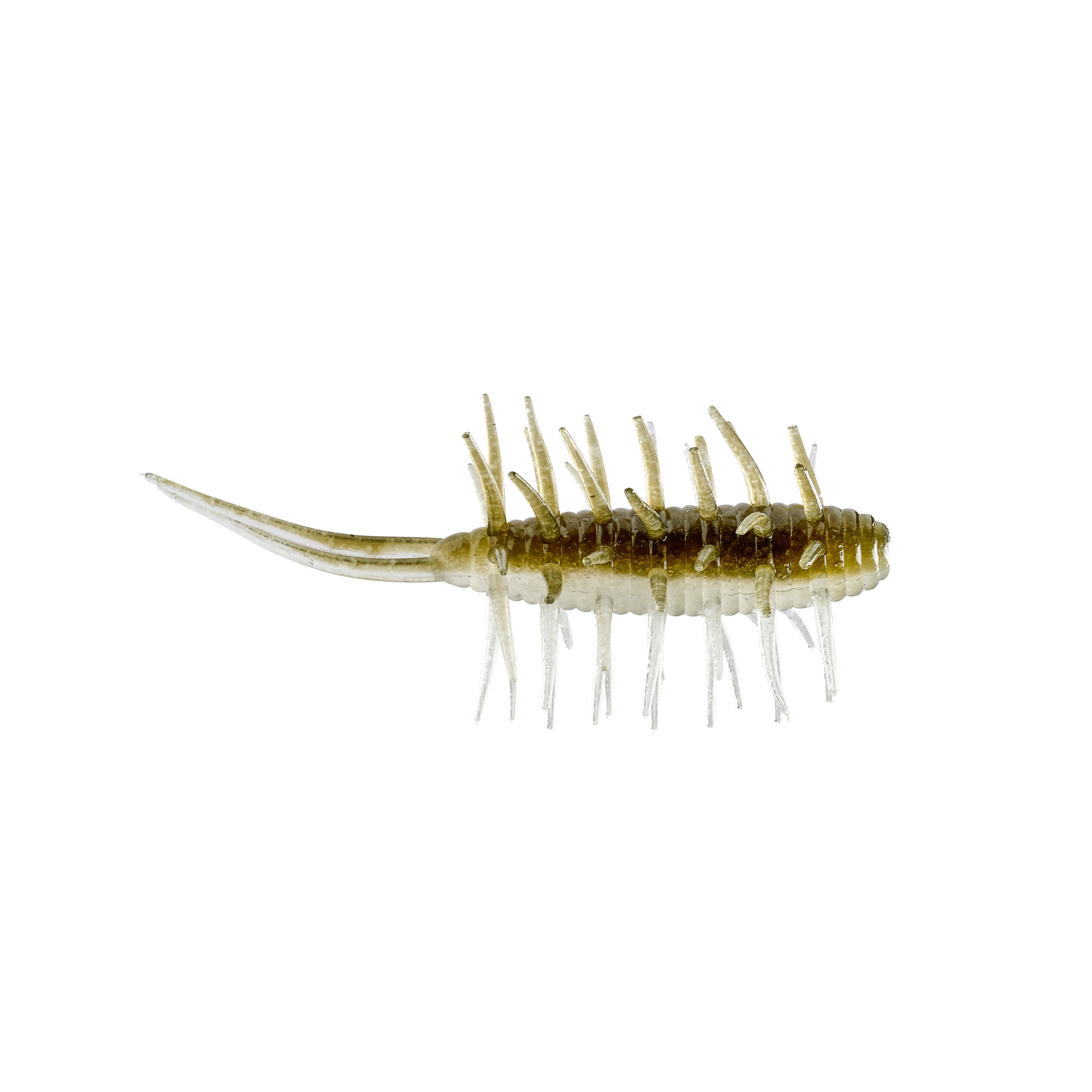 Hideup Coike Shrimp Medium Creature Bait