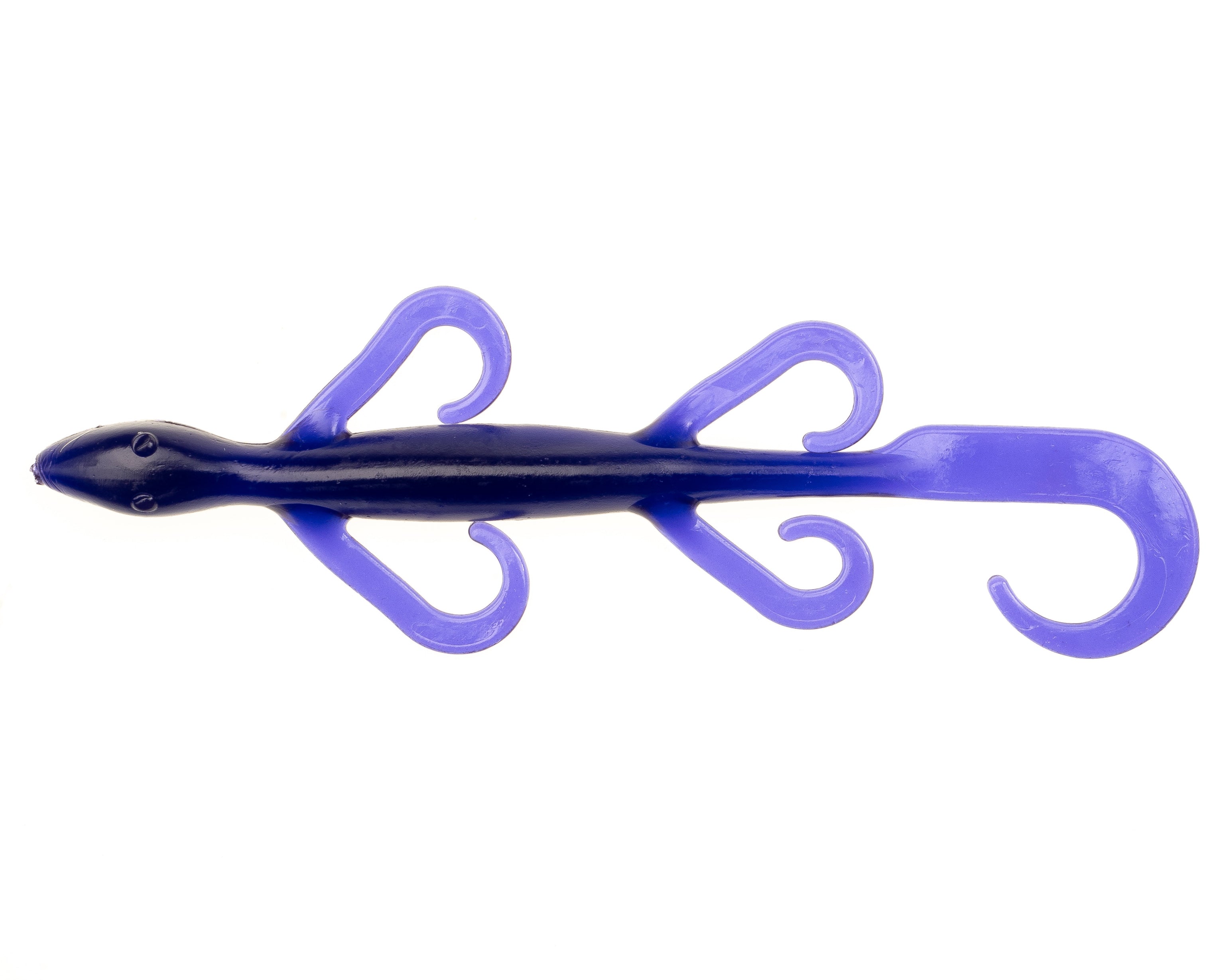 NETBAIT Lizard 6 Baitfuel suralimenté