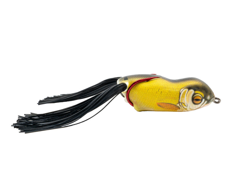 ScumFrog Launch XS