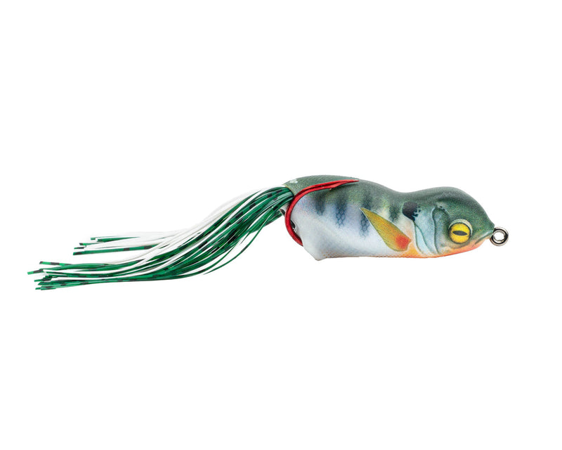ScumFrog Launch XS