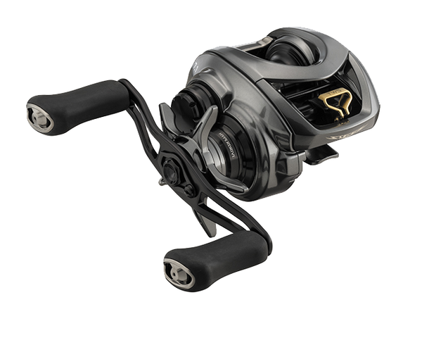 Moulinet casting Daiwa Steez CT SV TW 70
