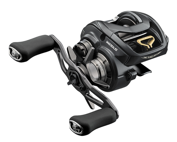Moulinet casting Daiwa Steez A 100 2023