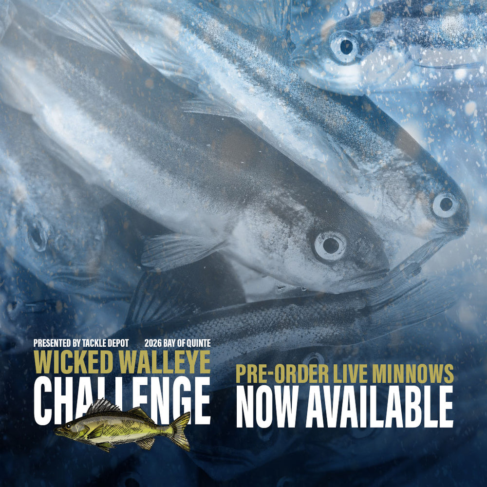 Minnow Riddle Pre-Order 2026 Wicked Walleye Challenge Live Minnows - Tackle Depot