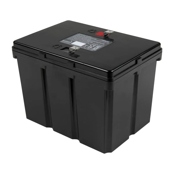 Garmin Lithium-ion Battery with Charger