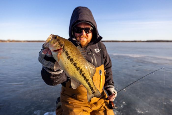 Clam Wooly Fingerless Gloves