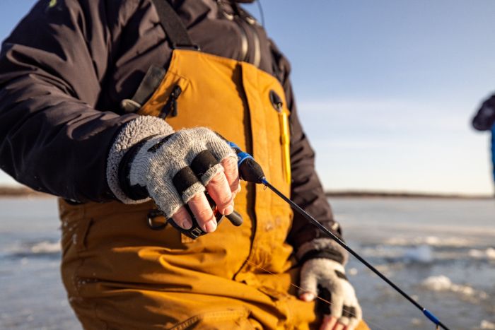 Clam Wooly Fingerless Gloves
