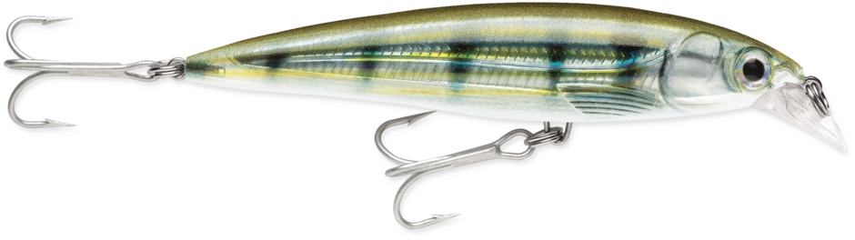 Rapala X-Rap Saltwater 