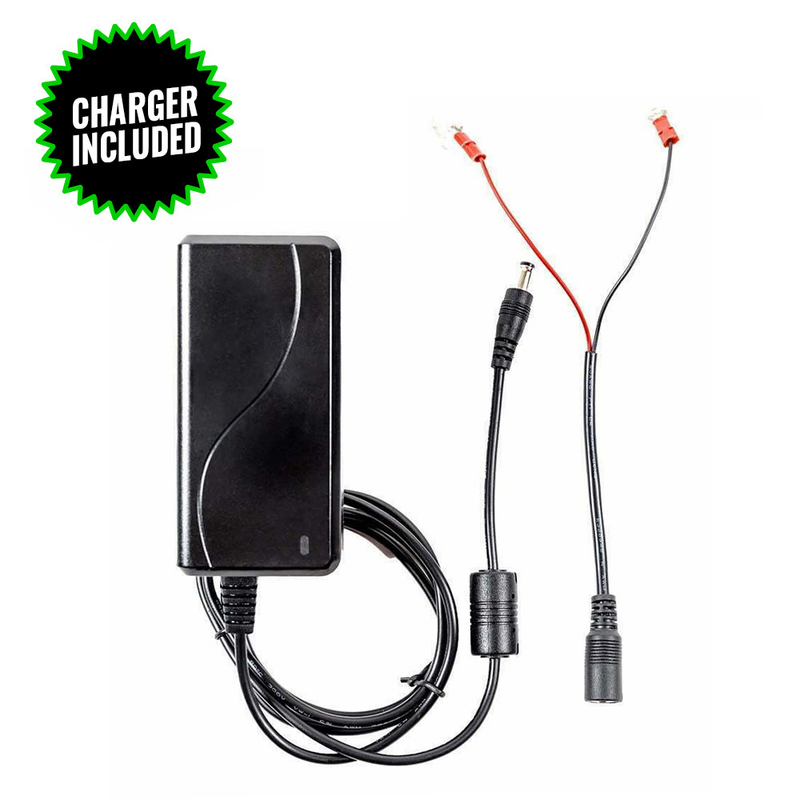 Lithium ion hot sale battery charger