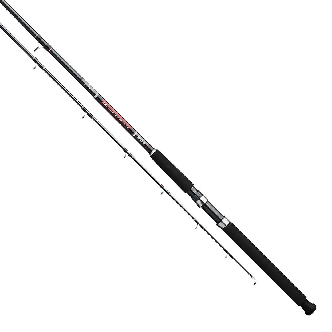 Canne à pêche à la traîne Daiwa Wilderness Downrigger