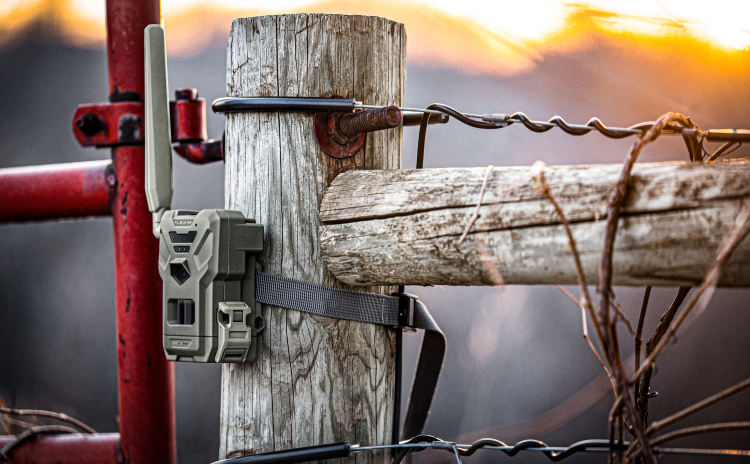 Spypoint FlexM Cellular Trail Camera