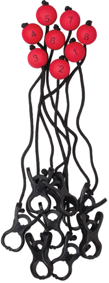 Modèle réduit de tournoi Rapala 15 lb à écran tactile