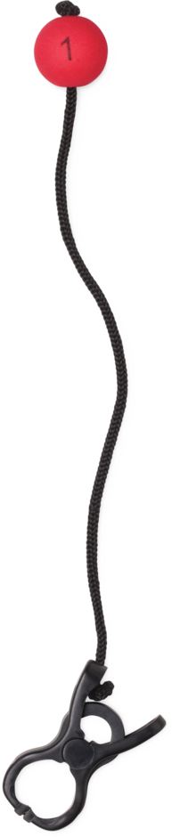 Modèle réduit de tournoi Rapala 15 lb à écran tactile