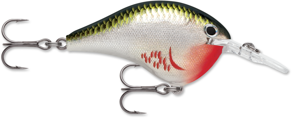 Rapala Dives-To Series 2" (DT08) 