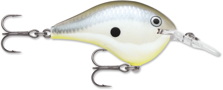 Rapala Dives-To Series 2" (DT08) 