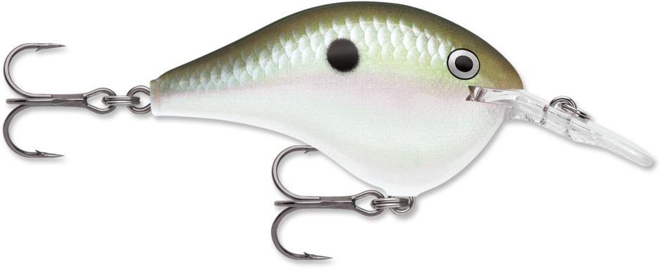 Rapala Dives-To Series 2" (DT08) 