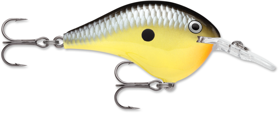 Rapala Dives-To Series 2" (DT08) 