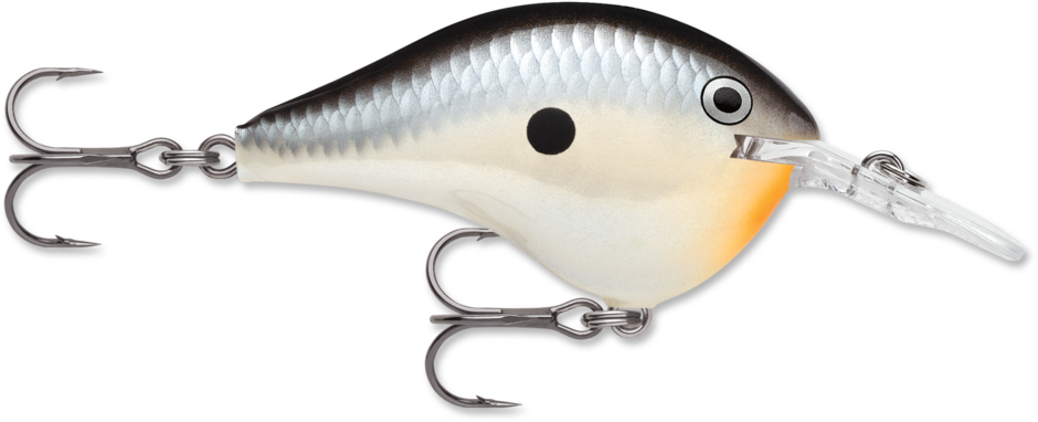Rapala Dives-To Series 2" (DT08) 