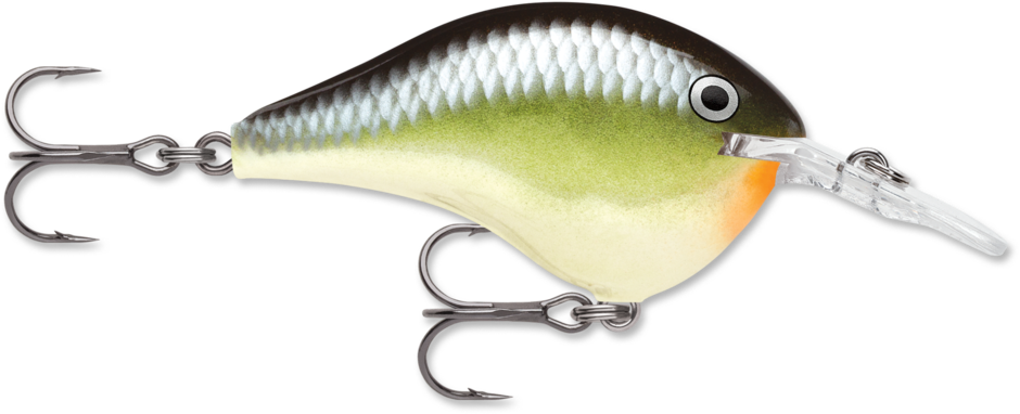 Rapala Dives-To Series 2" (DT08) 