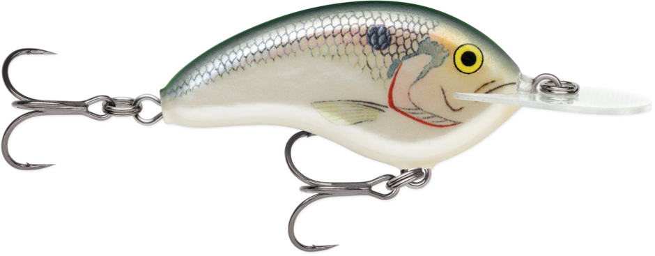 Garage Deep Tiny 7 de Rapala Ott