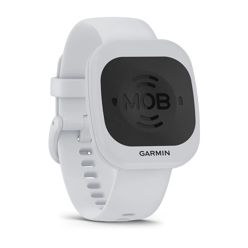 Garmin OnBoard System