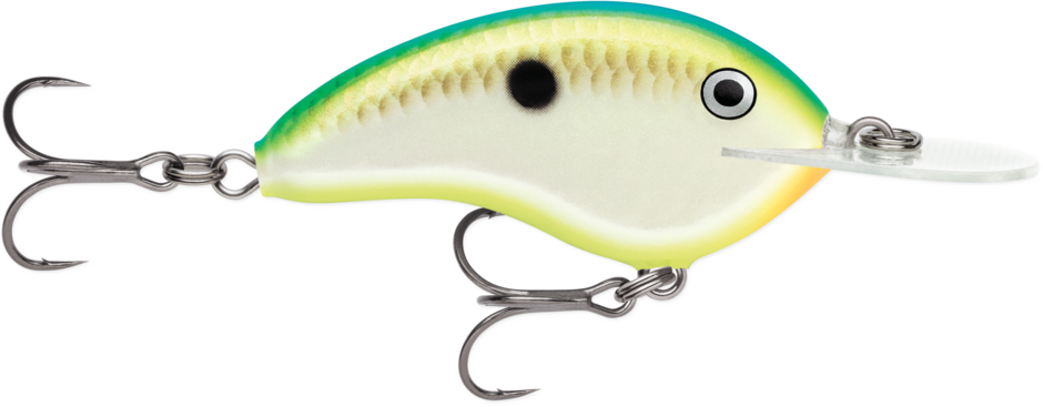 Garage Deep Tiny 7 de Rapala Ott