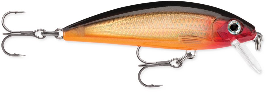 Rapala X-Rap CountDown - Tackle Depot