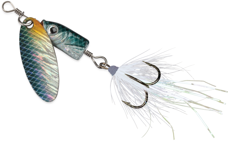 Blue Fox Flash Spinner