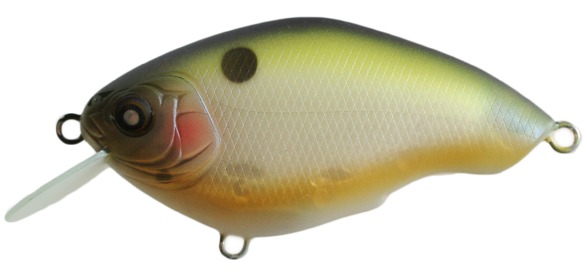 Nishine - Chippawa Round Bill - Flotteur lent