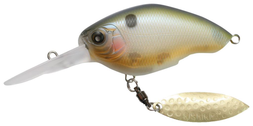 NISHINE - CHIPPAWA ROUND BILL - PLONGÉE PROFONDE