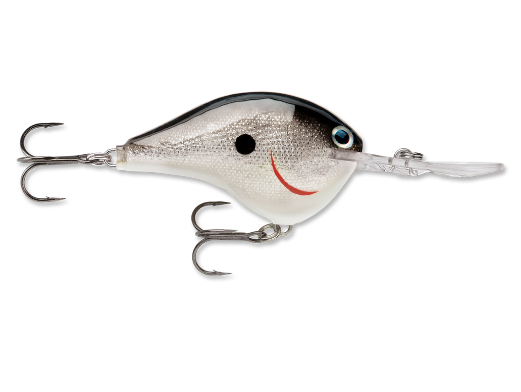 RAPALA DT® (Dives-To) Series-High Falls Outfitters