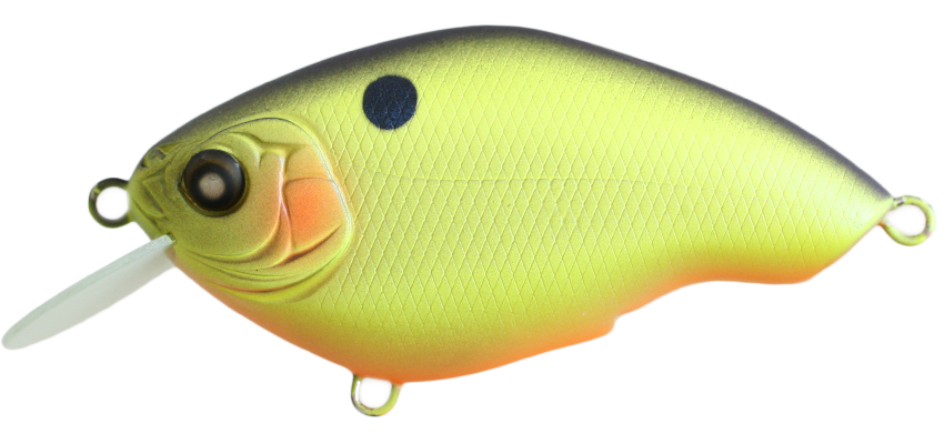 Nishine - Chippawa Round Bill - Flotteur lent