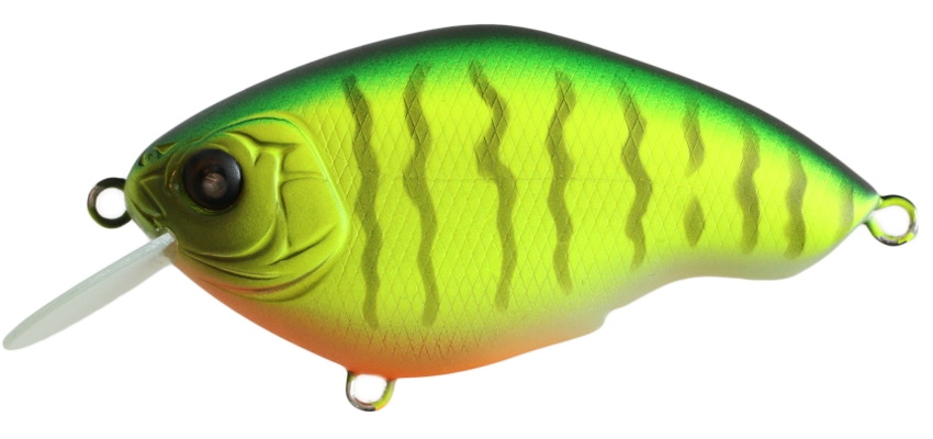 Nishine - Chippawa Round Bill - Flotteur lent